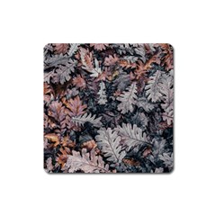 Autumn Leafs Square Magnet