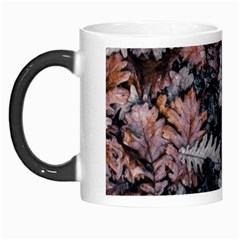 Autumn Leafs Morph Mugs