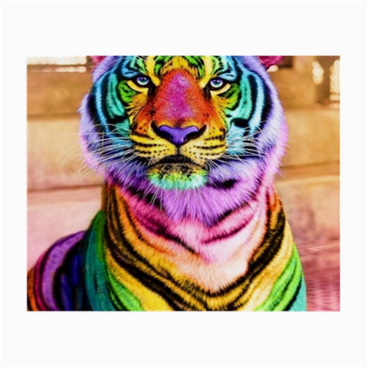 Rainbowtiger Small Glasses Cloth