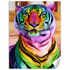 Rainbowtiger Canvas 18  x 24 