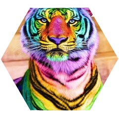 Rainbowtiger Wooden Puzzle Hexagon by Sparkle