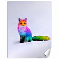 Rainbowfox Canvas 12  X 16  by Sparkle