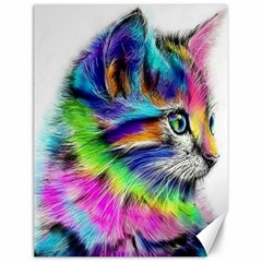 Rainbowcat Canvas 12  X 16  by Sparkle