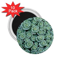 Realflowers 2 25  Magnets (10 Pack)  by Sparkle