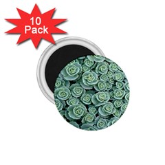 Realflowers 1 75  Magnets (10 Pack)  by Sparkle