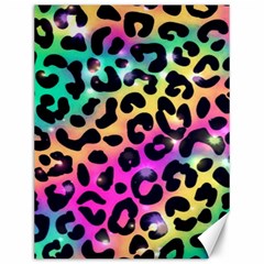 Animal Print Canvas 12  X 16  by Sparkle