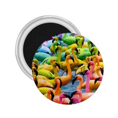 Rainbow Flamingos 2 25  Magnets by Sparkle