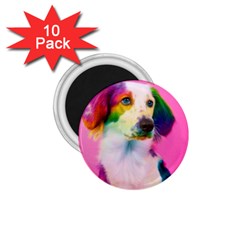 Rainbowdog 1 75  Magnets (10 Pack)  by Sparkle