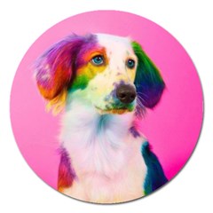 Rainbowdog Magnet 5  (round) by Sparkle