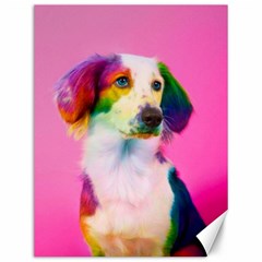 Rainbowdog Canvas 12  X 16  by Sparkle