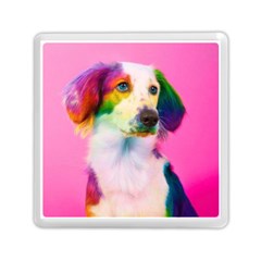 Rainbowdog Memory Card Reader (square) by Sparkle