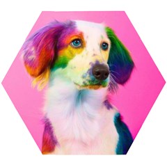 Rainbowdog Wooden Puzzle Hexagon