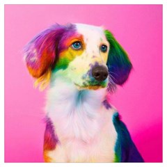 Rainbowdog Long Sheer Chiffon Scarf 