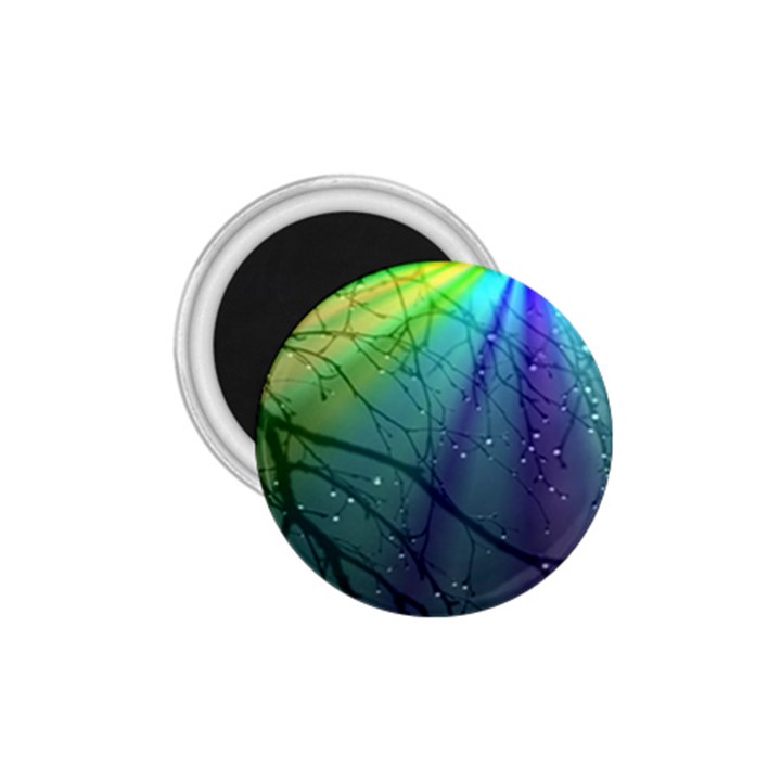 Rainbow Rain 1.75  Magnets