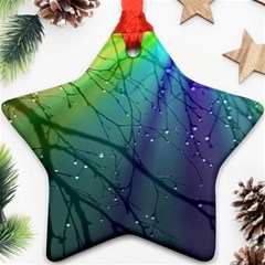 Rainbow Rain Ornament (star) by Sparkle