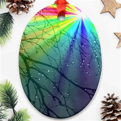 Rainbow Rain Oval Ornament (two Sides) by Sparkle