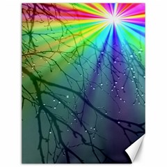 Rainbow Rain Canvas 12  X 16  by Sparkle