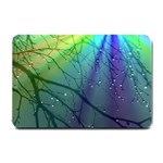 Rainbow Rain Small Doormat  24 x16  Door Mat