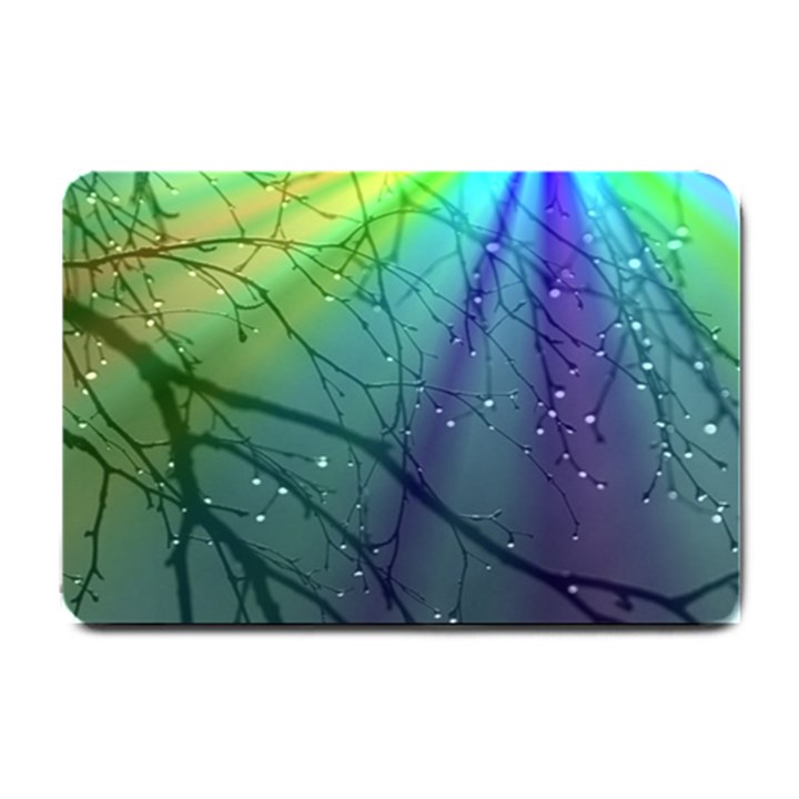 Rainbow Rain Small Doormat 