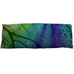 Rainbow Rain Body Pillow Case (dakimakura) by Sparkle