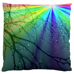 Rainbow Rain Standard Flano Cushion Case (one Side) by Sparkle