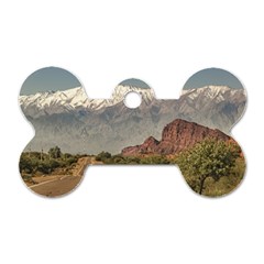 Empty Highway Landscape, La Rioja, Argentina Dog Tag Bone (one Side) by dflcprintsclothing