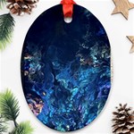  Coral reef Ornament (Oval) Front