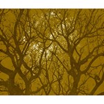 Forest Landscape Illustration 2 Deluxe Canvas 14  x 11  (Stretched) 14  x 11  x 1.5  Stretched Canvas