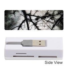 Closing In  Memory Card Reader (stick)