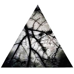 Closing In  Wooden Puzzle Triangle by MRNStudios