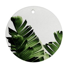 Green Banana Leaves Ornament (round) by goljakoff