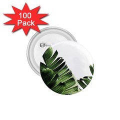 Green Banana Leaves 1 75  Buttons (100 Pack)  by goljakoff