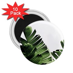 Green Banana Leaves 2 25  Magnets (10 Pack)  by goljakoff