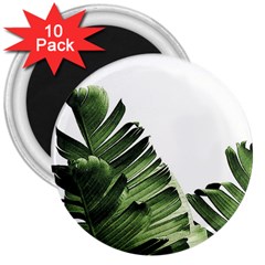 Green Banana Leaves 3  Magnets (10 Pack)  by goljakoff