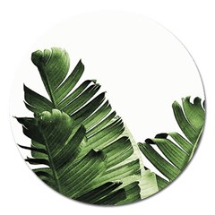 Green Banana Leaves Magnet 5  (round)