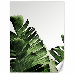 Green Banana Leaves Canvas 36  X 48  by goljakoff