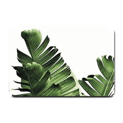 Green Banana Leaves Small Doormat  by goljakoff