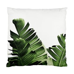 Green Banana Leaves Standard Cushion Case (one Side) by goljakoff