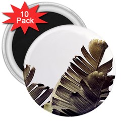 Vintage Banana Leaves 3  Magnets (10 Pack)  by goljakoff