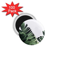 Banana Leaves 1 75  Magnets (100 Pack)  by goljakoff