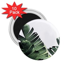 Banana Leaves 2 25  Magnets (10 Pack)  by goljakoff