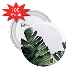 Banana Leaves 2 25  Buttons (100 Pack)  by goljakoff