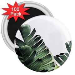 Banana Leaves 3  Magnets (100 Pack) by goljakoff