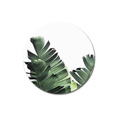 Banana Leaves Magnet 3  (round) by goljakoff