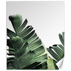 Banana Leaves Canvas 8  X 10  by goljakoff