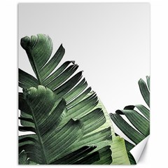 Banana Leaves Canvas 11  X 14  by goljakoff