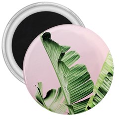 Palm Leaf 3  Magnets by goljakoff