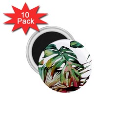 Watercolor Monstera Leaves 1 75  Magnets (10 Pack)  by goljakoff