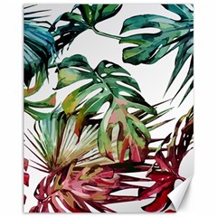 Watercolor Monstera Leaves Canvas 11  X 14  by goljakoff