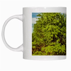 Carob Tree, Talampaya National Park, La Rioja, Argentina White Mugs